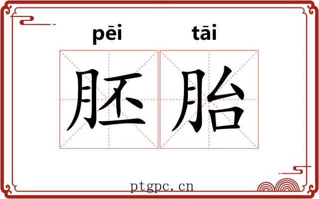 胚胎 胚胎
