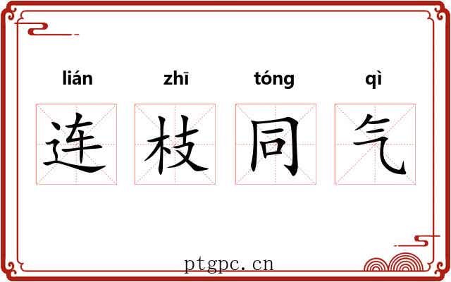 连枝同气 连枝同气