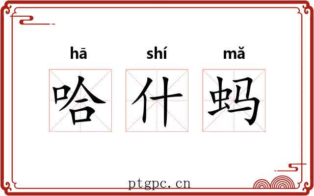 哈什蚂 哈什蚂