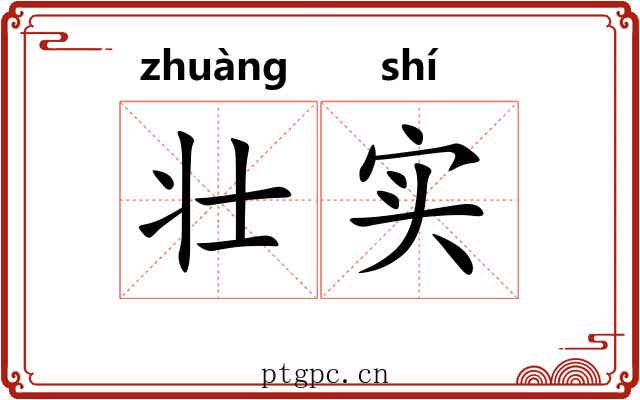 壮实