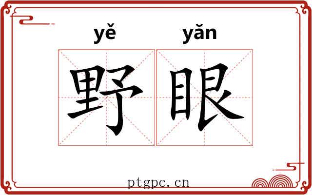 野眼 野眼