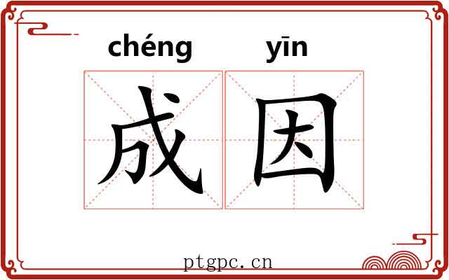 成因