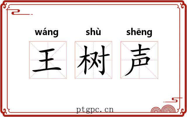 王树声 王树声
