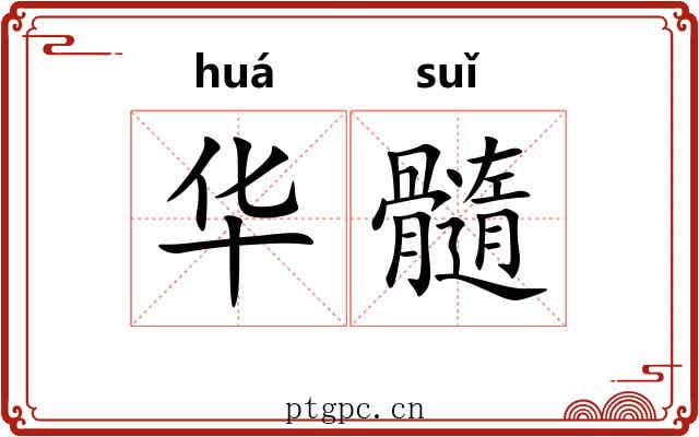 华髓 华髓