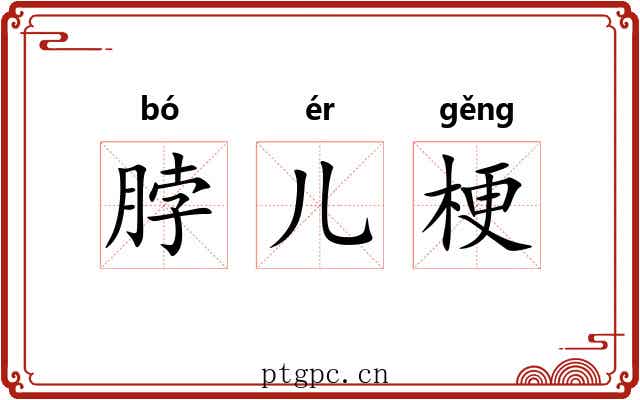 脖儿梗 脖儿梗