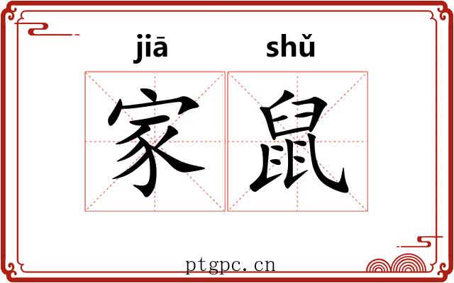 家鼠 家鼠