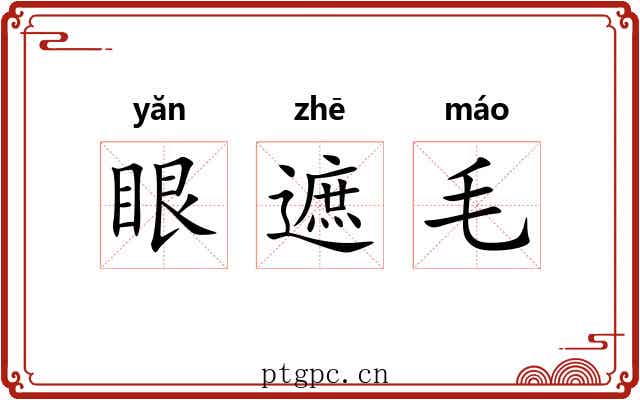 眼遮毛 眼遮毛