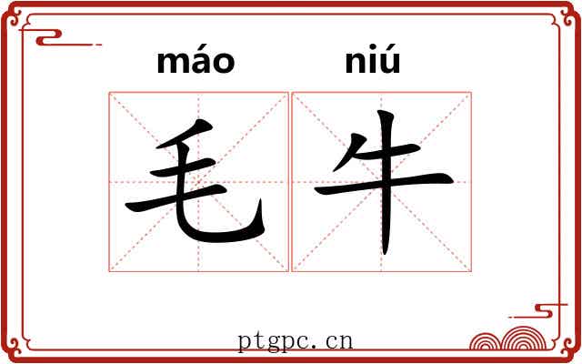 毛牛 毛牛