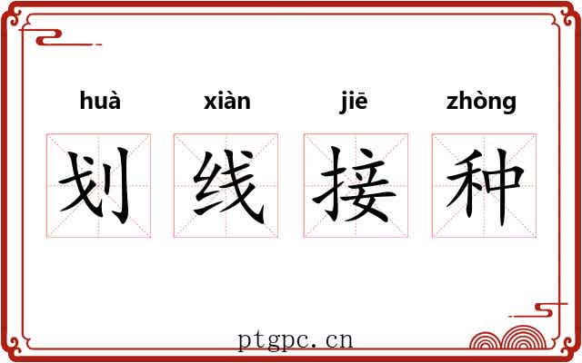 划线接种