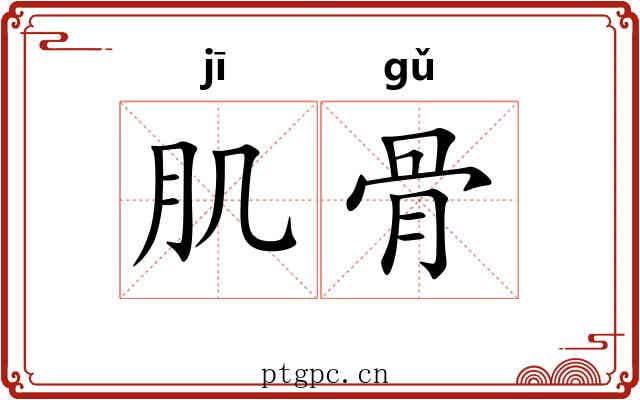 肌骨 肌骨