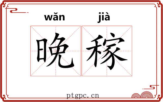 晚稼