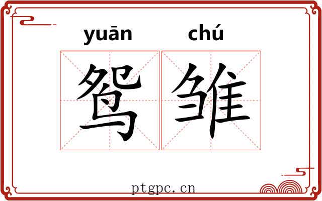 鸳雏