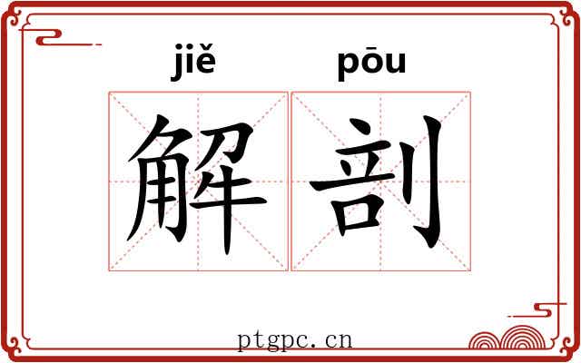 解剖