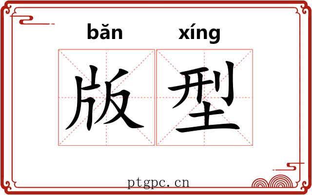 版型