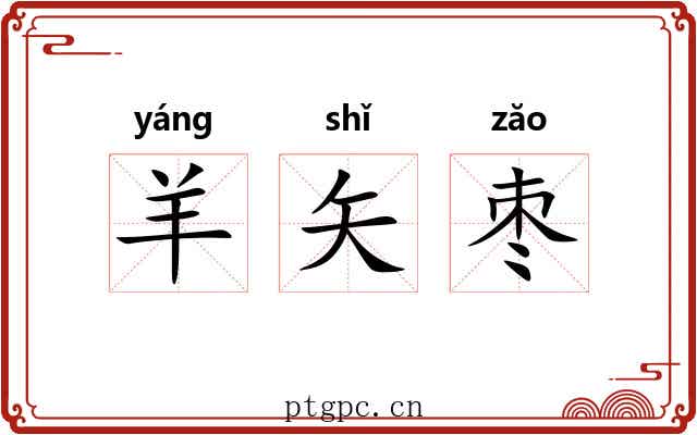 羊矢枣 羊矢枣