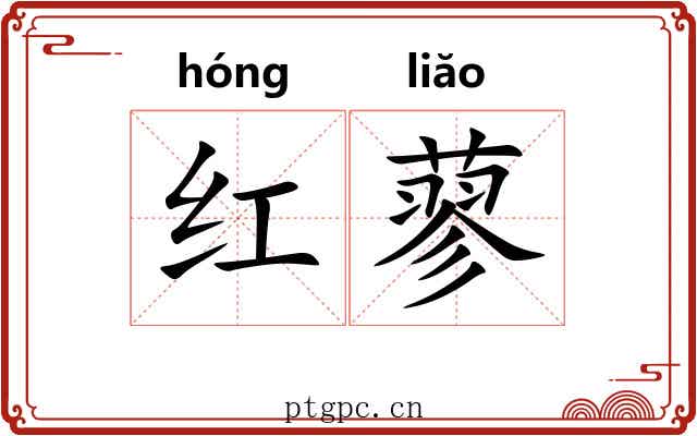 红蓼 红蓼