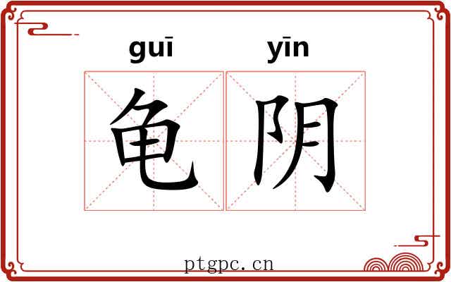 龟阴 龟阴