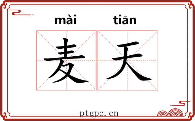 麦天 麦天