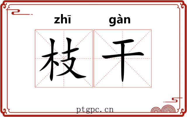 枝干 枝干