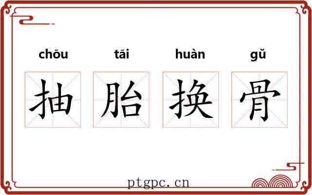 抽胎换骨 抽胎换骨