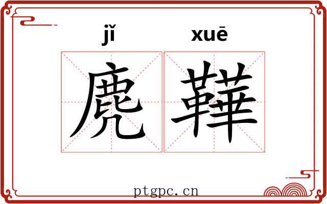 麂鞾