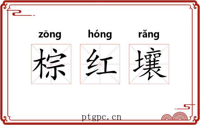 棕红壤 棕红壤