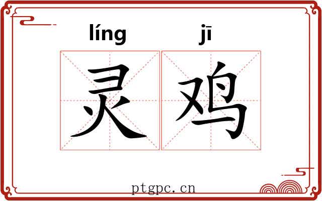 灵鸡