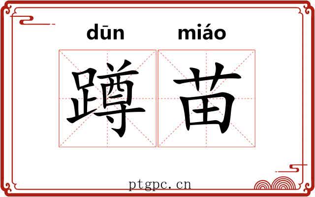 蹲苗 蹲苗