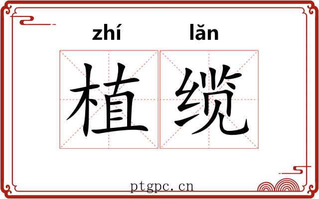 植缆