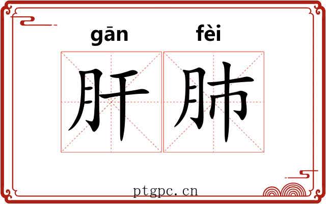 肝肺 肝肺