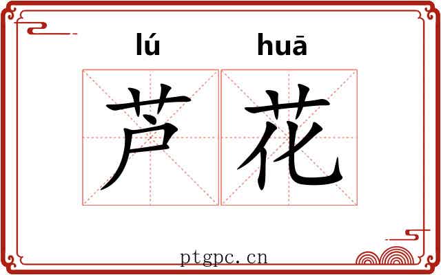 芦花 芦花