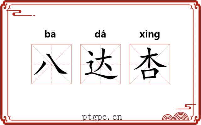 八达杏 八达杏