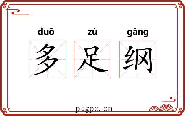 多足纲 多足纲