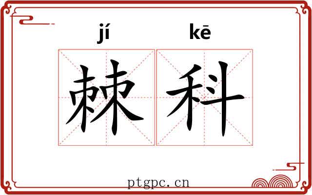 棘科