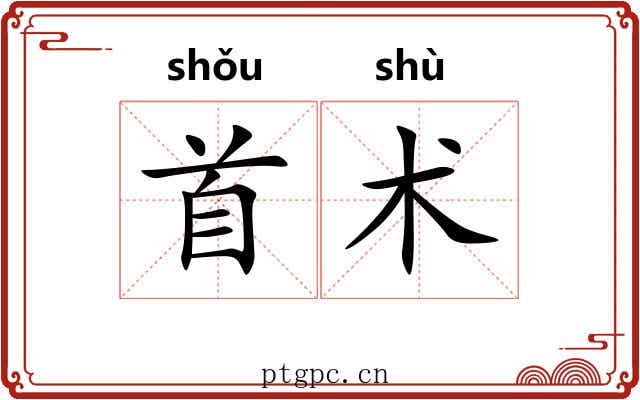 首术 首术
