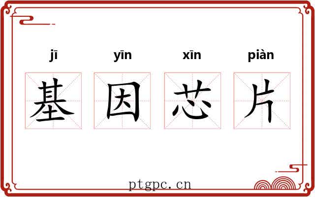 基因芯片