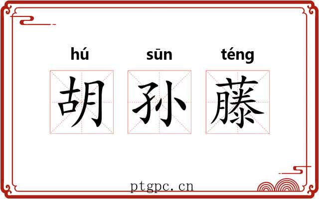 胡孙藤 胡孙藤