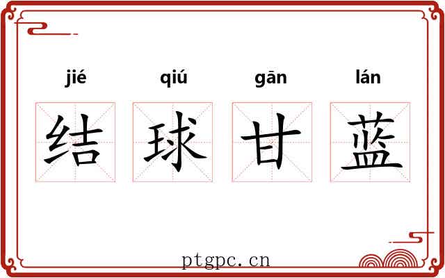 结球甘蓝
