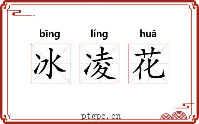 冰凌花 冰凌花