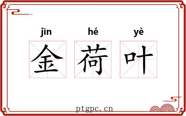 金荷叶 金荷叶