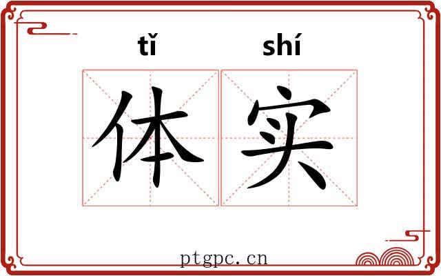 体实
