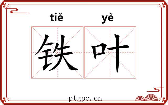 铁叶 铁叶