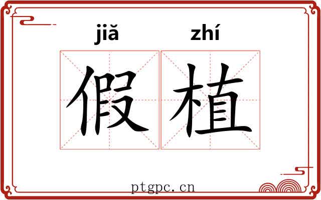 假植 假植