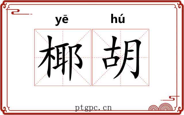 椰胡 椰胡
