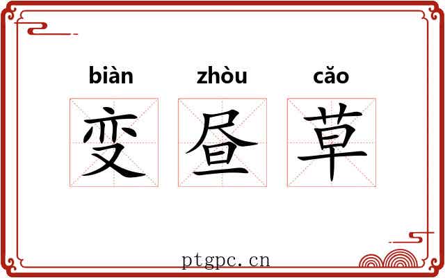 变昼草