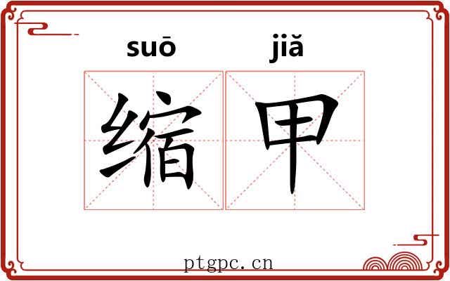 缩甲 缩甲