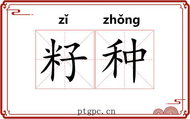 籽种