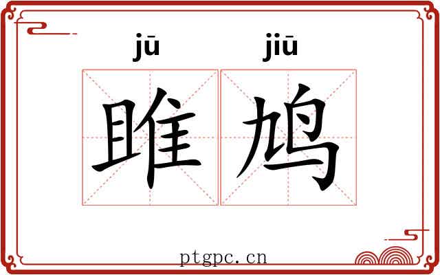 雎鸠 雎鸠