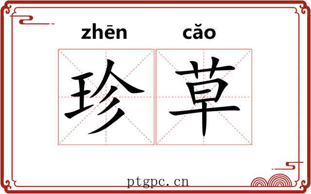 珍草 珍草