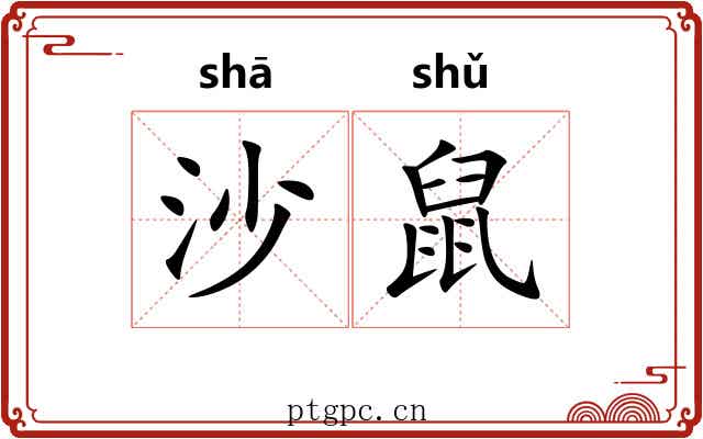 沙鼠 沙鼠
